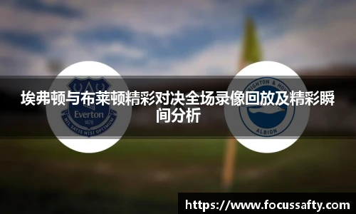 zoty中欧集团