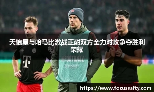zoty中欧体